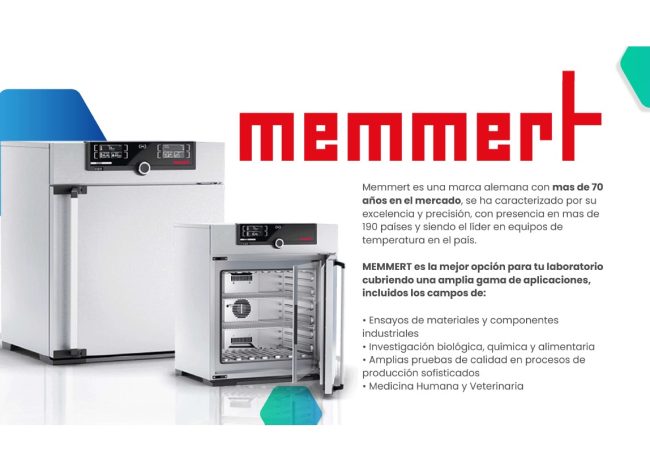 Imagen de WhatsApp 2024-07-09 a las 21.01.50_51886573