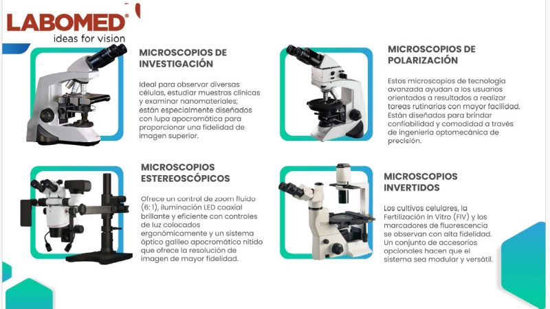 Imagen de WhatsApp 2024-07-09 a las 21.05.42_001b45b5